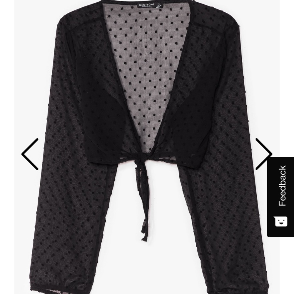 I Sheer Can Plunging Tie Blouse